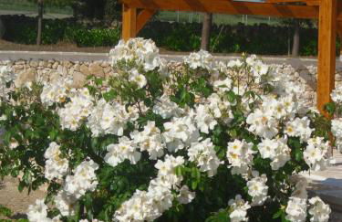 Masseria La Gravina - Foto 45