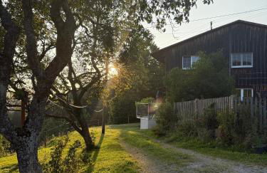 Alpe Sonnenruh - Photo 31