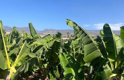 ZAMA Bella Vista - Foto 43