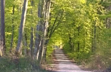 Ptasi Zakątek - Foto 22