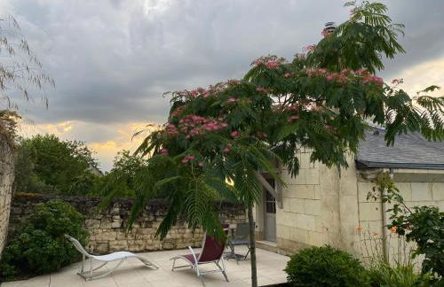 Logis huit clos calme et romantique proche Saumur - Photo 11