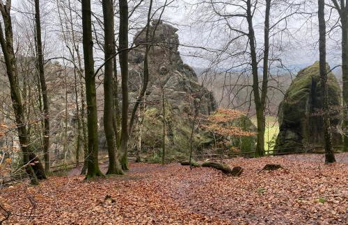 Weite Blicke in Horn - Foto 19