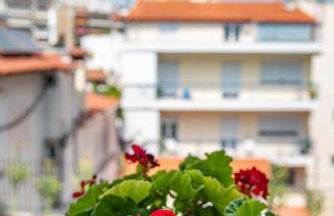 Casa Di Famiglia - Foto 39