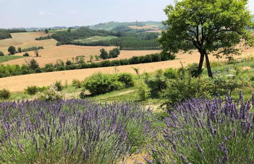 Cascina Vicentini - Foto 23