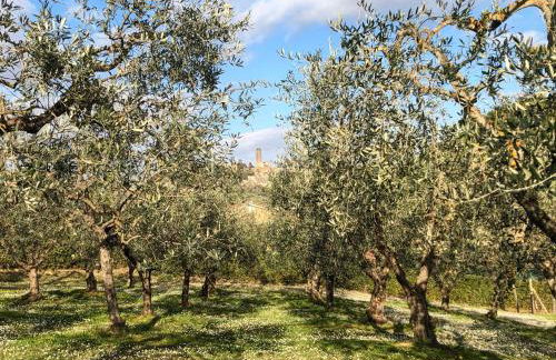 Podere Bellavista - Foto 80