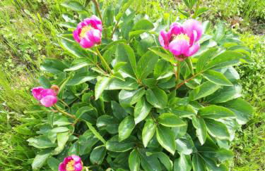 La Casa De La Abuela - Photo 49