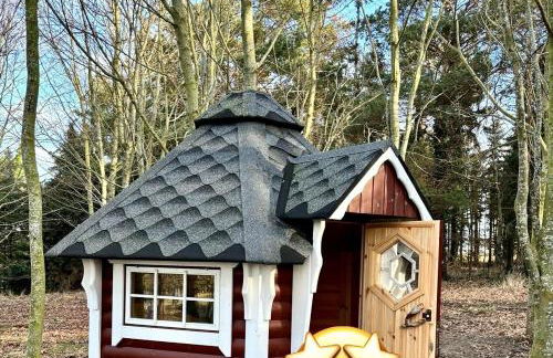 Reethus Rotbuche - Foto 22