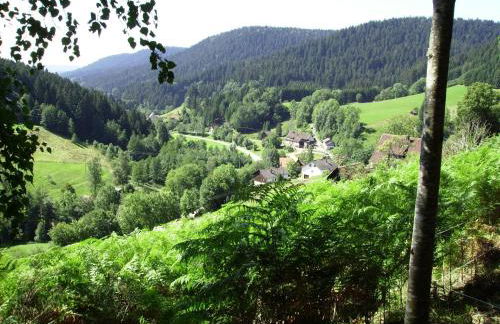 Charmantes, Einladendes Ferienhaus in Toller Natur - Foto 54