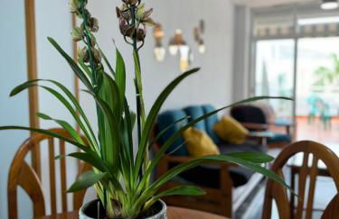 Vista & Calma Castell de Ferro - Foto 7