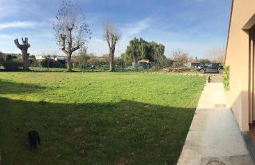 Il Girasole - Foto 4