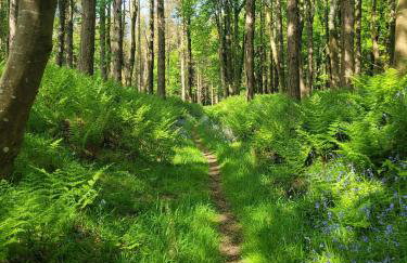 The Galloway Steading: Countryside Family Retreat with Sauna and Hot tub - Foto 53