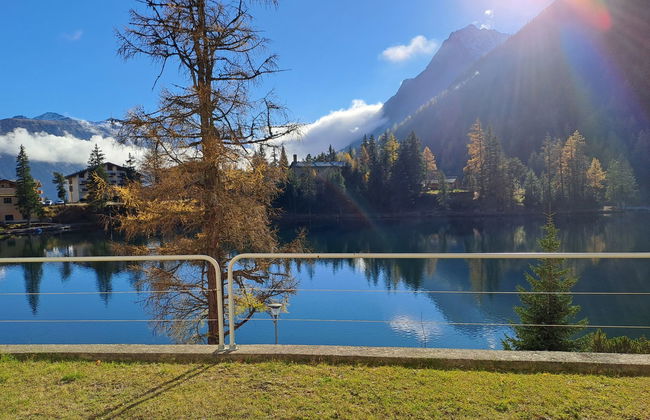 Alpes et Lac 2 - Foto 18