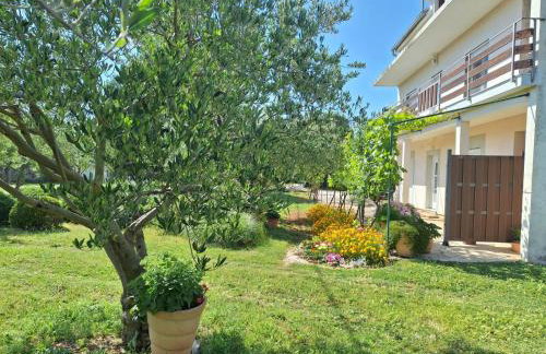 Apartman Lancun - Foto 6