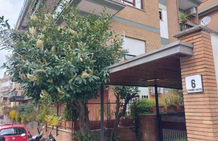 Appartamento Isabella - Foto 7