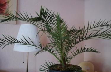 Apartment Dietze - Foto 29