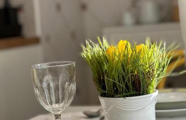 Nona apartman - Foto 30