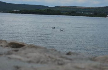 Royal House 1 - Foto 20