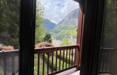 La petite di Amélie - Aux pieds du Mont Blanc - Foto 15