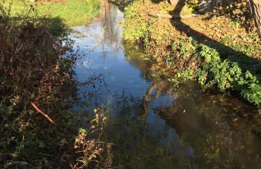 Haus an den Elbwiesen - Foto 17