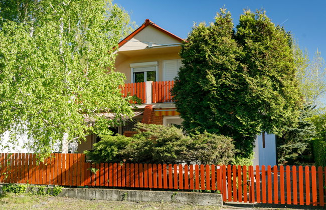 Mathias Rex - Foto 17