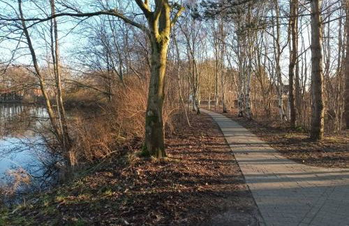 Oase am See -kostenlose Leihfahrräder - Foto 16