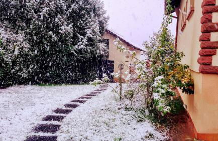 L'Abri des Renards - Foto 18