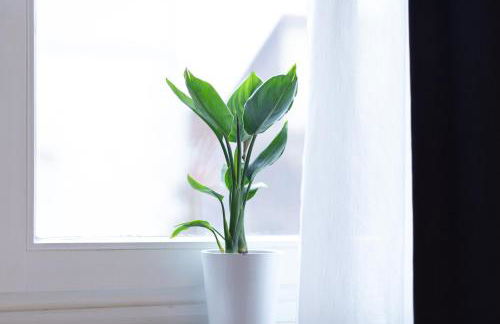 Apartment 54 - 4 Sterne Ferienwohnung in Bad Arolsen - Foto 38