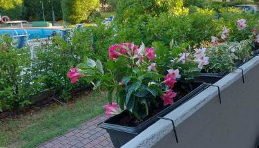 INDIGO APARTMENT Cavallino Treporti - Foto 4