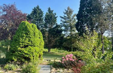 Ferienwohnung Mammutbaum - Foto 1