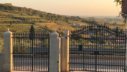 Corte Lavarini The Magic At Sight - Foto 3