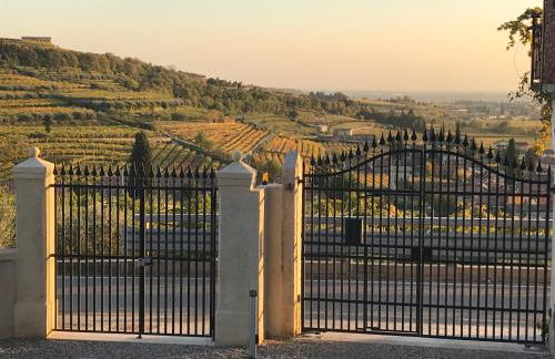 Corte Lavarini The Magic At Sight - Foto 3