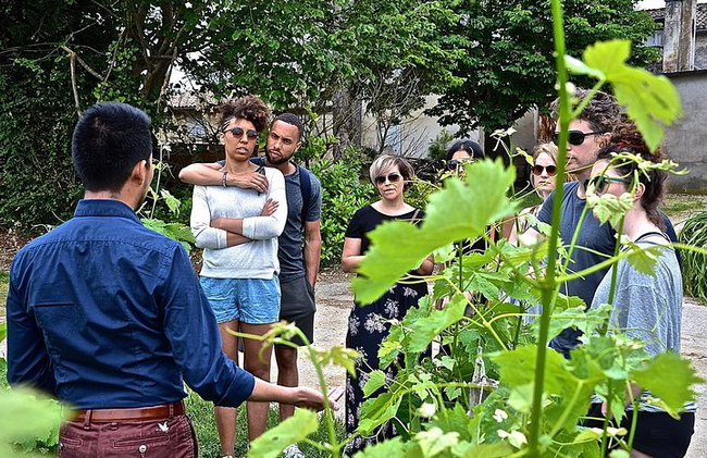 "Explora Saint-Émilion en bicicletas eléctricas: Grupo pequeño, excursión de medio día" - Foto 3