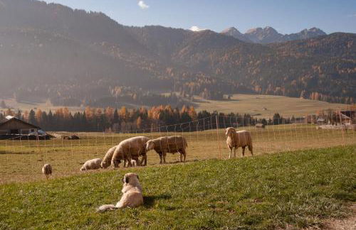 Peterlan Hof - Foto 21