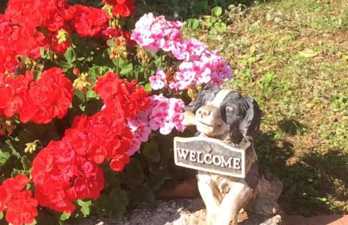 Casa Vacanze All'Orizzonte Duino - Foto 27