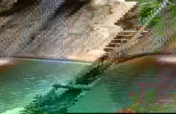 Ever Dreamed of staying in a 3 Bedroom Castle SDV044B - By Samui Dream Villas - Photo 31