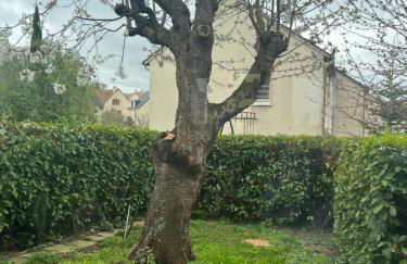 Maison familiale, quartier calme - Foto 8