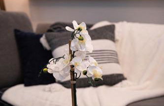 Shares Courtyard Luxury Apt - NEW! - Foto 7