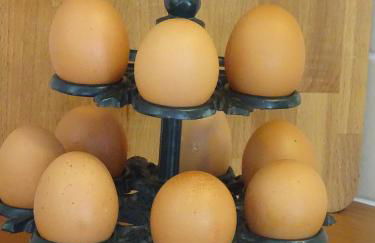 Le Vieux Manoir - Foto 14