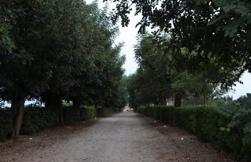 Masseria La Duchessa - Foto 20