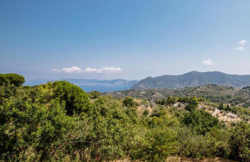 Plum Ridge House - Foto 43