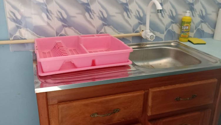 Logerthine Jan Suriname - Foto 1, Imagen principal