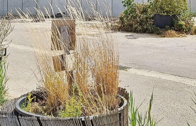 6 Person Holiday Home in Wendtorf - Photo 21