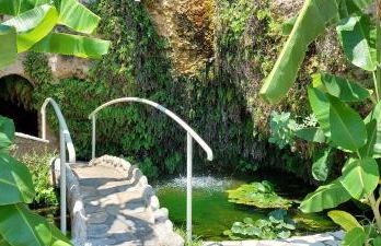 Filoxenia Olive Garden luxury villas and suites - Foto 66