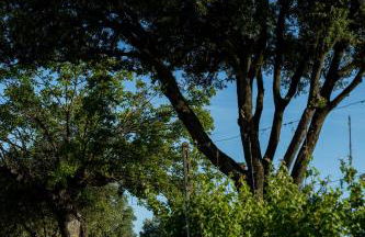 Castello di Ribano Le Dimore - Foto 55