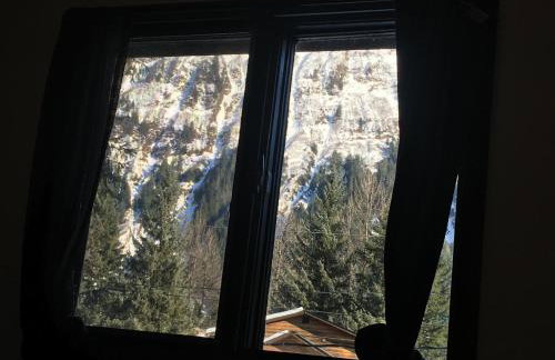 Glacier Guest Room - PRIVATE ROOM IN SHARED HOUSE REDUCED PRICE ON TOURS - Foto 13