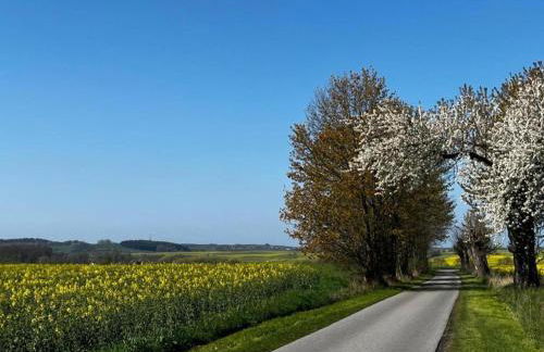 Cozy Holiday Home in Hohenkirchen near Baltic Sea - Foto 75