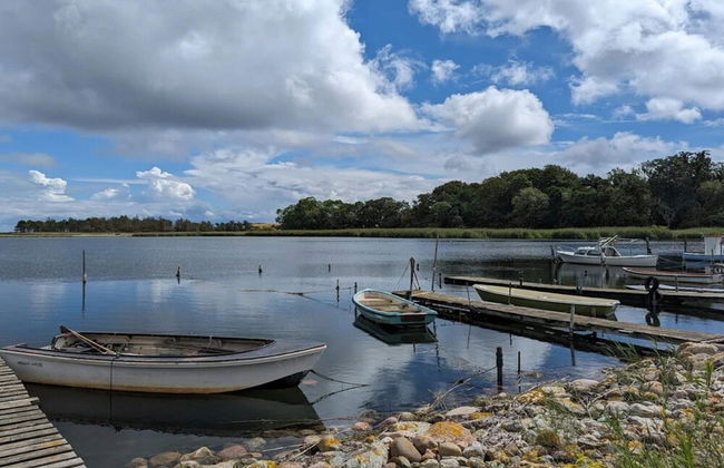 4 Person Holiday Home in Frorup - Photo 49