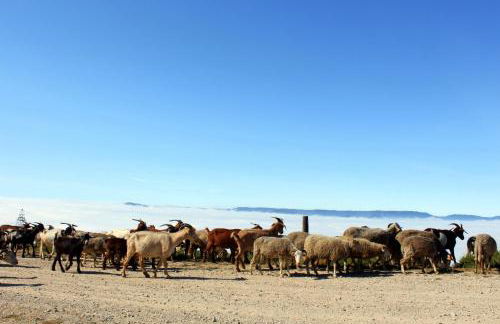 Casa do Vale de Cerdeiras - Foto 40
