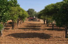 Quinta da Layla - Photo 26