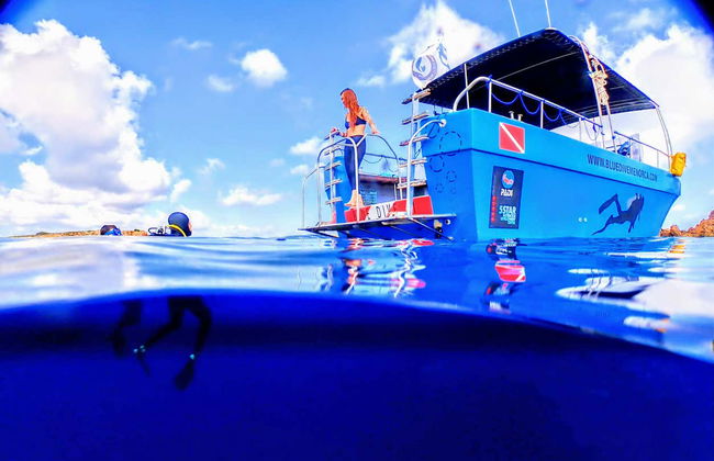 Bautismo de buceo en Puerto Addaya - Foto 9